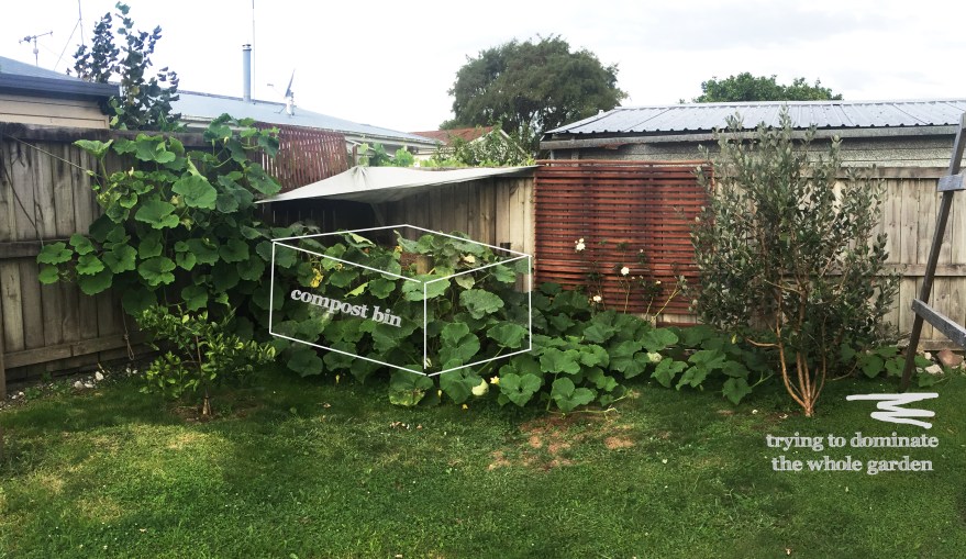 Photo 9-03-17, 6 54 34 PMa.jpg