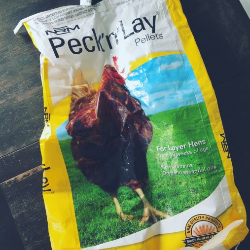 Photo 6-08-17, 11 26 31 AM (1)