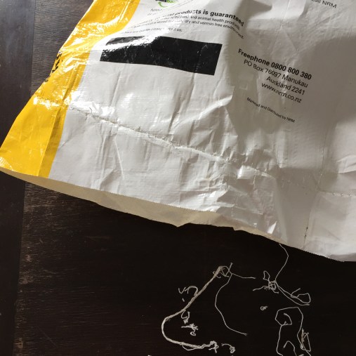 Photo 6-08-17, 11 31 39 AM