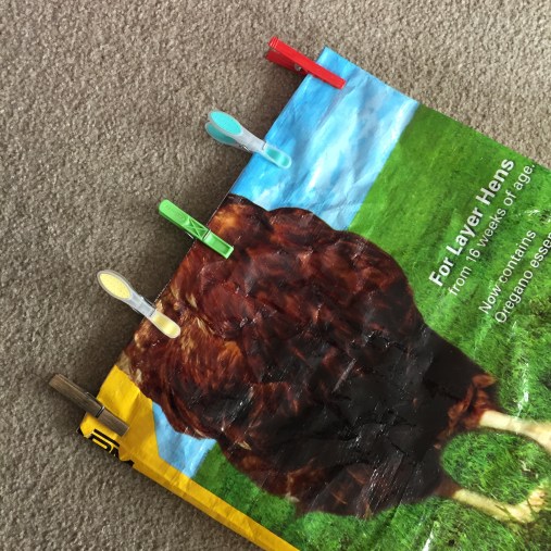 Photo 6-08-17, 12 52 16 PM