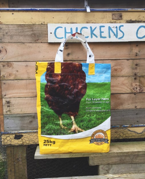 Photo 6-08-17, 2 56 53 PM (1)